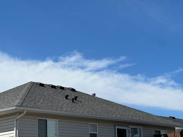 Best Chimney Flashing Repair  in Wilber, NE